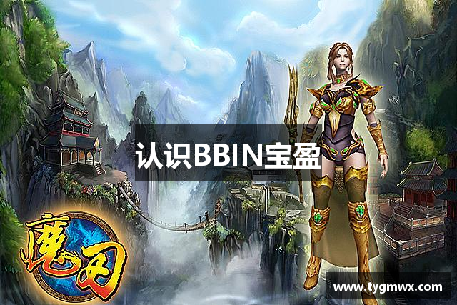 认识BBIN宝盈